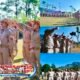 Gerindra Cimahi Bentuk Laskar Pemuda hingga Tingkat RT/RW, Siap Digembleng Wamil dan Kawal Program Pro Rakyat