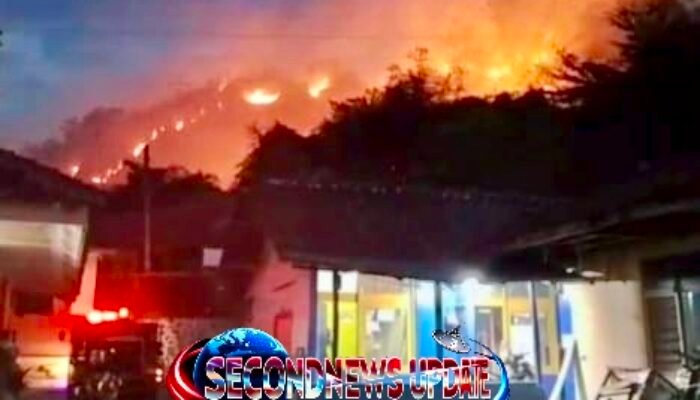 Kebakaran Gunung Paseban Berhasil Dipadamkan! 17 Personel Damkar Kabupaten Bandung Berjibaku Taklukkan Kobaran Api