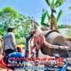 Ubah Sasak Bambu Jadi Jembatan Beton Kokoh, Impian Warga Gumukrejo Akhirnya Terwujud