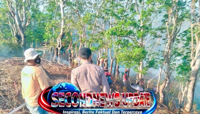 Kebakaran 5 Hektare di Cikelet Garut Mengamuk, Api Diduga Berawal dari Pembakaran Sampah