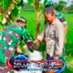 Babinsa Jenar Dampingi Petani, Arahkan Pemupukan Padi agar Lebih Optimal
