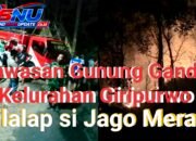 Kobaran Api Hanguskan 3,2 Hektare Lahan di Gunung Gandul, Regu Pemadam Kodim Wonogiri Bergerak Cepat