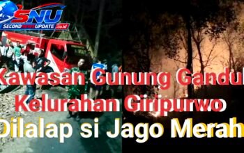 Kobaran Api Hanguskan 3,2 Hektare Lahan di Gunung Gandul, Regu Pemadam Kodim Wonogiri Bergerak Cepat