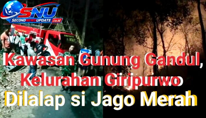 Kobaran Api Hanguskan 3,2 Hektare Lahan di Gunung Gandul, Regu Pemadam Kodim Wonogiri Bergerak Cepat
