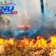 Kebakaran Lahap 2.000 Meter Persegi Lahan di Malangbong Garut, Api Mengganas di Tengah Kondisi Kering