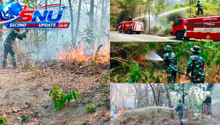 Regu Damkar Kodim 0728/Wonogiri Bergerak, Kobaran Api di Dua Kawasan Perbukitan Berhasil Dipadamkan