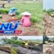 Kali Ciasin Kerap Meluap, DBMSDA Tangerang Kerahkan Alat Amphibi Keruk Sedimentasi Sepanjang 625 Meter