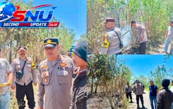 Kebakaran Lahan Kosong di Pacet Bandung, Rumput Kering Dilalap Api hingga 50 Tumbak