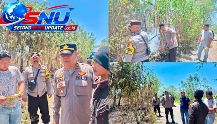 Kebakaran Lahan Kosong di Pacet Bandung, Rumput Kering Dilalap Api hingga 50 Tumbak