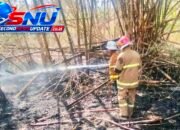 Tujuh Kebakaran Lahan Terjadi di Garut, Damkar Perketat Kesiapsiagaan di Tengah Cuaca Kering