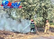 Kebakaran Lahan di Garut Melonjak 100 Persen, Lebih dari 10 Kejadian Jadi Alarm Serius