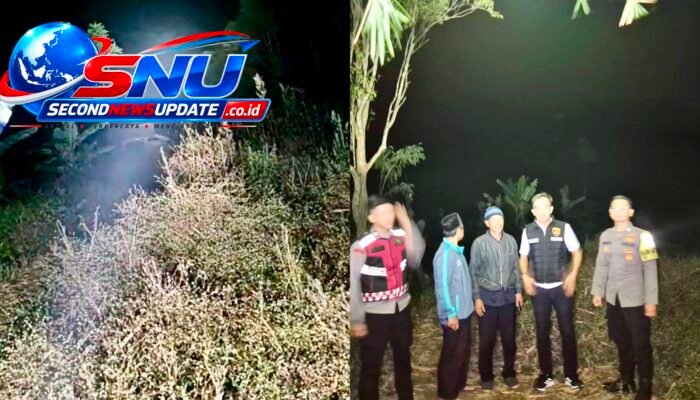 Kebakaran Lahan 1 Hektare di Cangkuang Bandung, Api Berawal dari Bakar Bambu