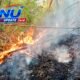 Dua Hektare Kebun Bambu di Cicalengka Terbakar, Api Berhasil Dipadamkan Warga dan Petugas