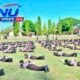 Seharian Ditempa di Lapangan, Ketarunaan SMKN 1 Jenar Digembleng Babinsa