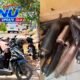 Polsek Bungbulang Sikat 15 Knalpot Brong, Suara Bising Dibendung Demi Jalanan Lebih Aman