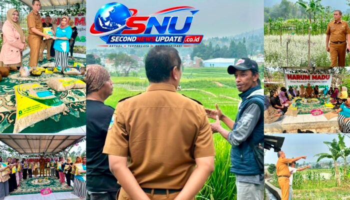 Kekeringan Berlalu, Petani Mekarsari Bangkit: Kadistan Garut Salurkan Benih Padi Pengganti