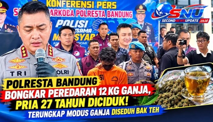 Polresta Bandung Bongkar Peredaran 12 Kg Ganja, Pria 27 Tahun Diciduk! Terungkap Modus Ganja Diseduh Bak Teh