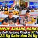 GEMPUR SARANG NARKOBA! Polresta Deli Serdang Ringkus 57 Tersangka, Sita 23 Kg Sabu dan 24 Kg Ganja