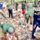 Koramil 11/Jenar Bersama Warga Cor Jalan Dukuh Pindi, Perkuat Gotong Royong dan Akses Ekonomi Desa