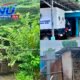 Kandang Ayam Berdempetan, Dapur Dinilai Kecil untuk Ribuan Porsi MBG: SPPG Klambir Lima Disorot!