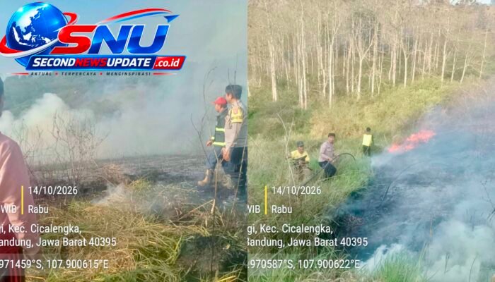 Kebakaran Hebat di Cicalengka! Enam Hektare Lahan Ilalang Hangus, Api Merembet ke Tanah Warga